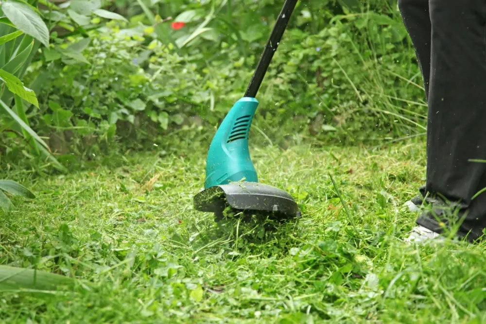 Débroussaillage près de Parçay-Meslay 