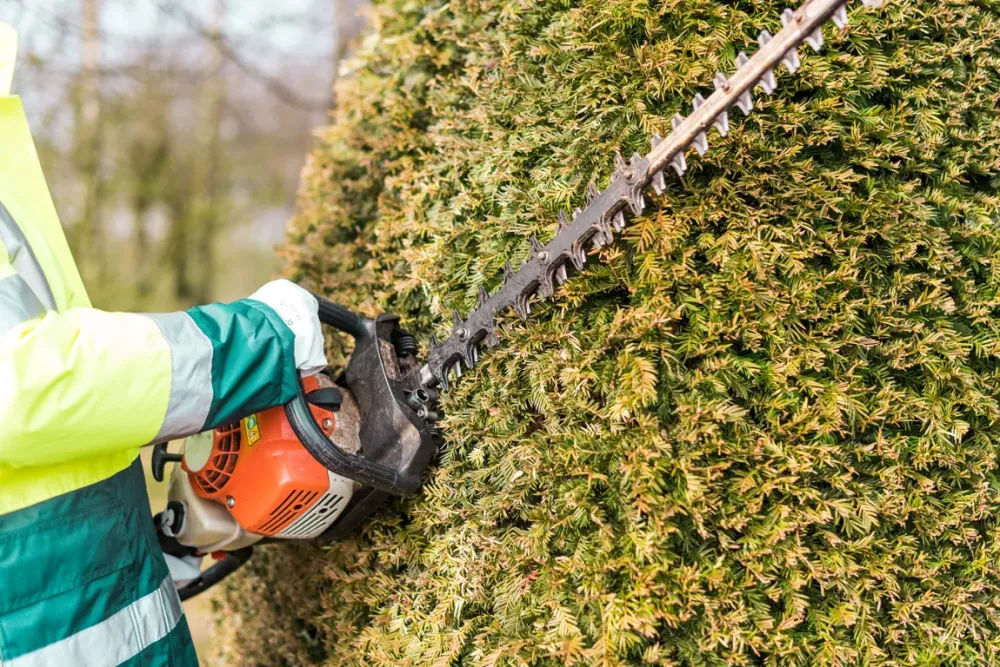 Taille de haies près de Parçay-Meslay 